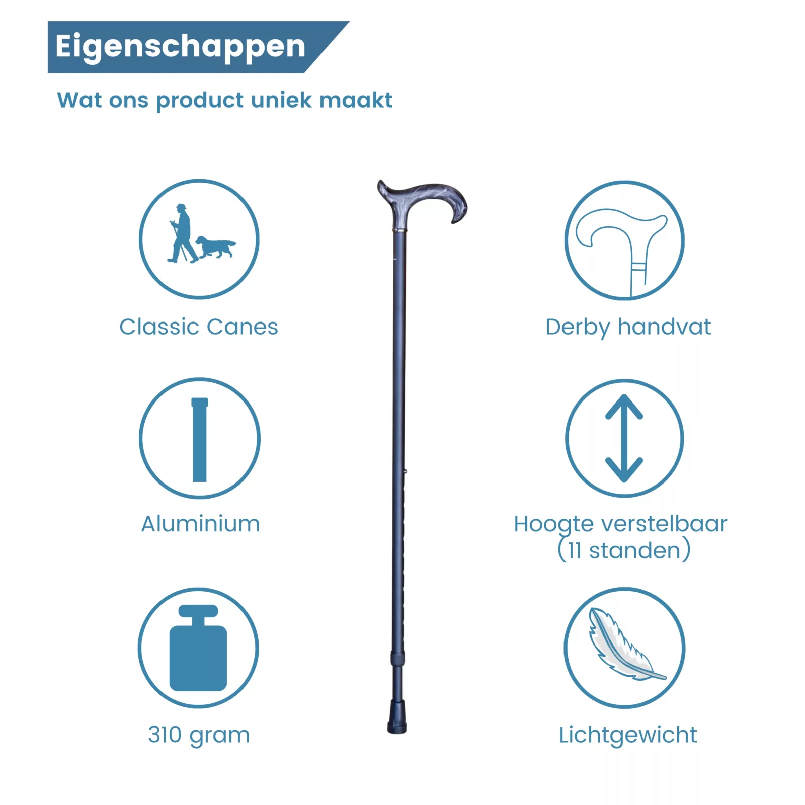 wandelstok zwart donker handvat