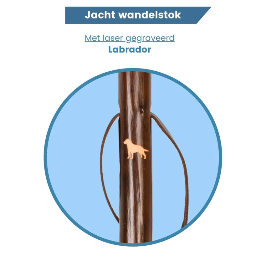 jachtwandelstok laser gegraveerd labrador