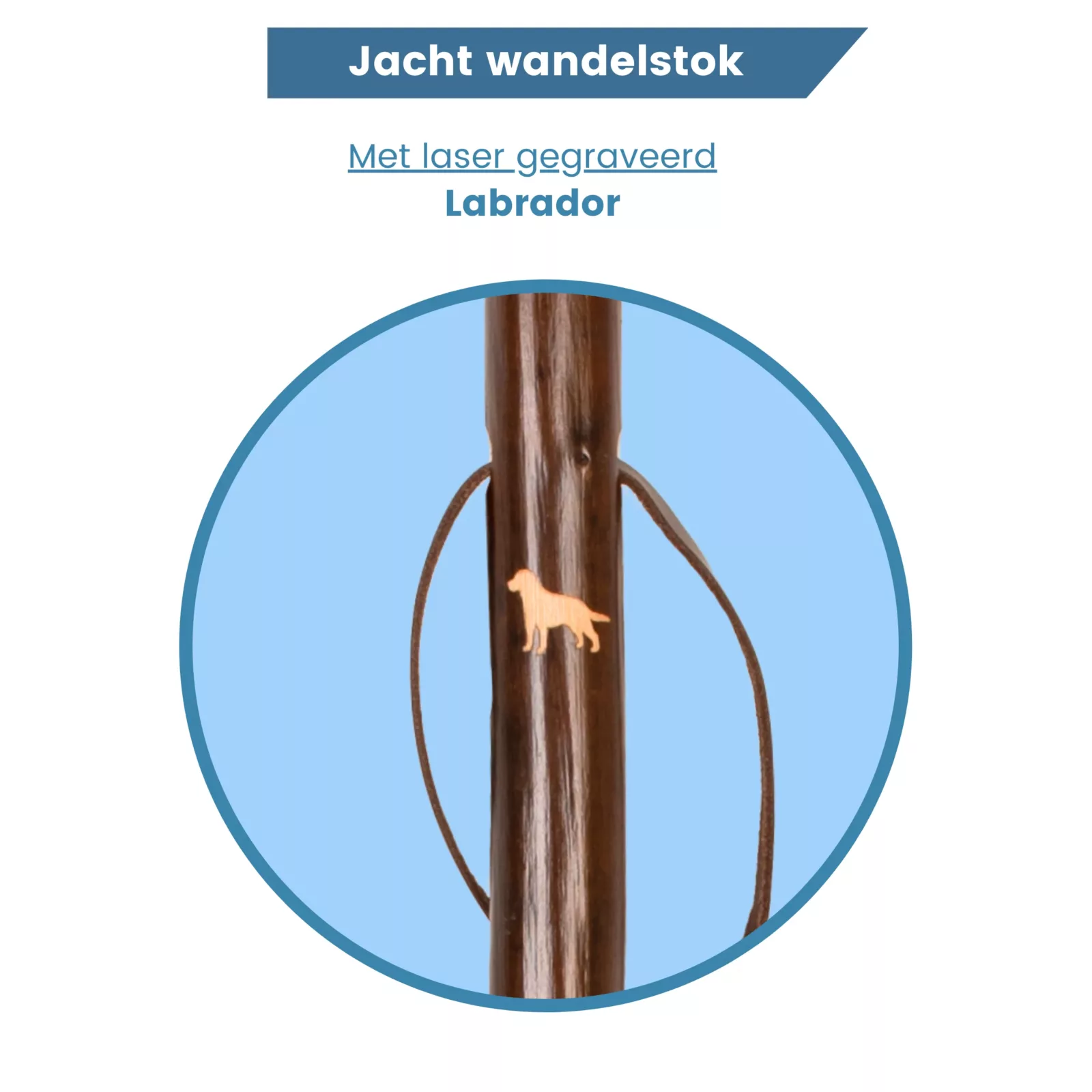 jachtwandelstok laser gegraveerd labrador