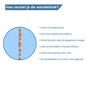 verstelbare wandelstok aardbeien borgring