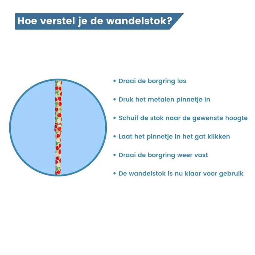 verstelbare wandelstok aardbeien borgring