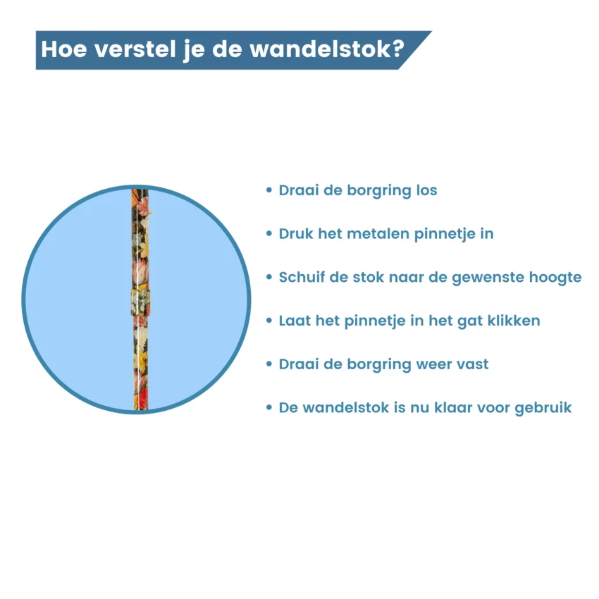 borgring wandelstok stilleven