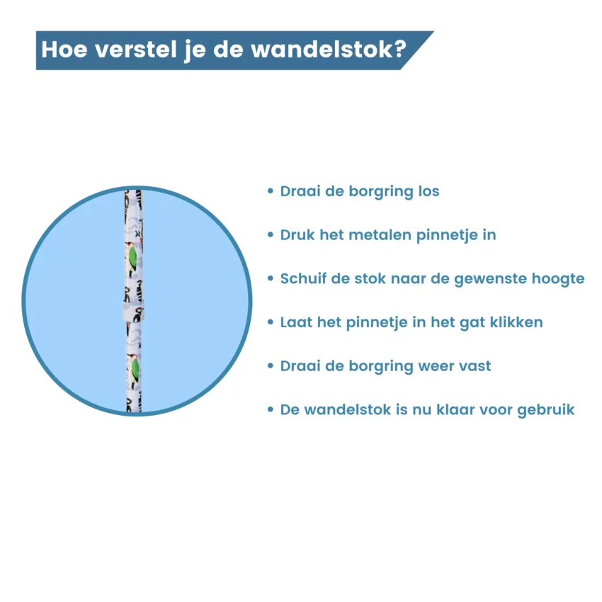 verstelbare wandelstok borgring