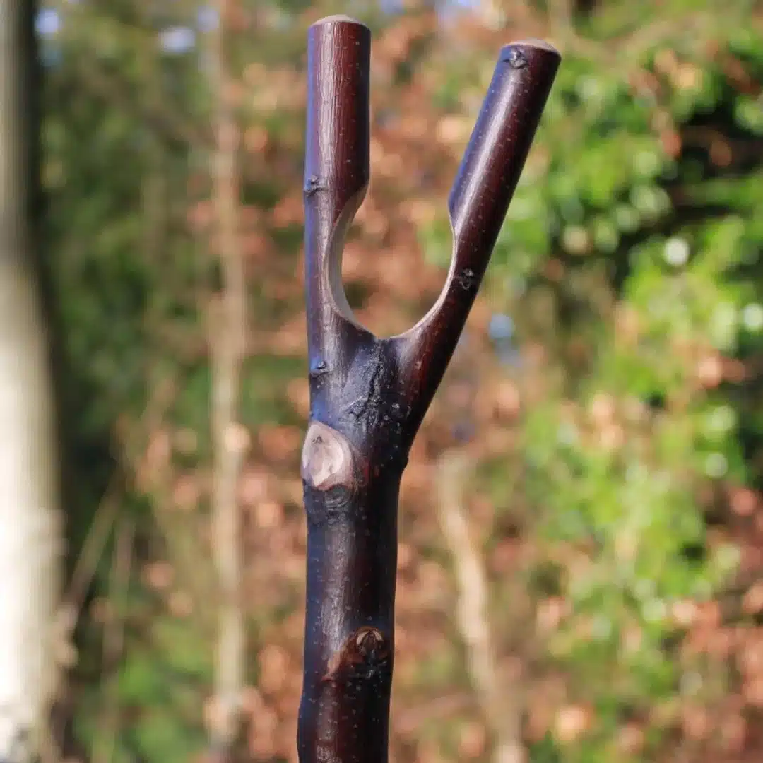 wandelstok duimstok donkerbruin